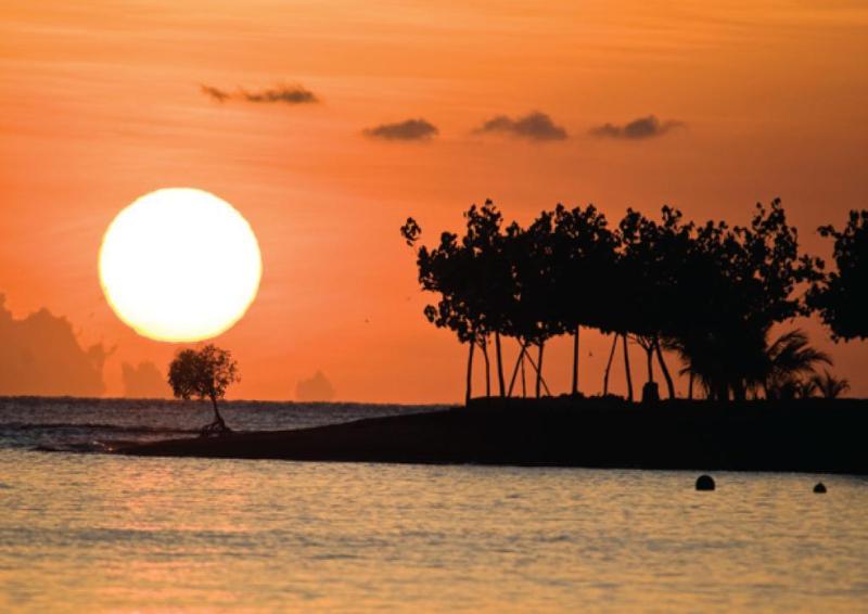 Amertha Bali Villas - Genel