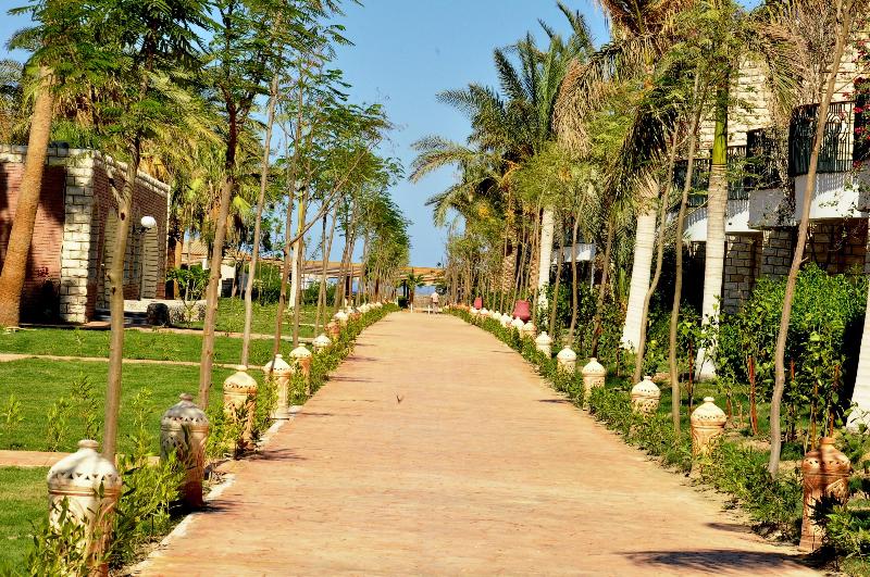 Aladdin Beach Resort - Genel