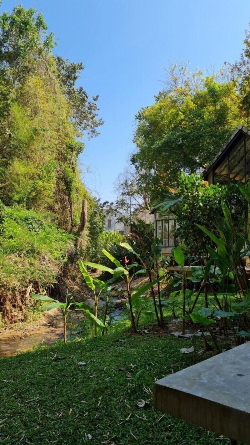 Proud Phu Fah - Genel