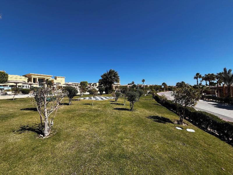 Sheraton Soma Bay - Aktivite