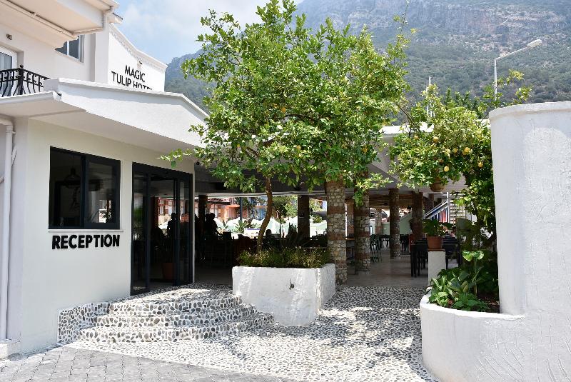 Magic Tulip Hotel - Genel