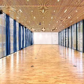 Vienna House by Wyndham Martinspark Dornbirn fotoÄŸrafÄ±