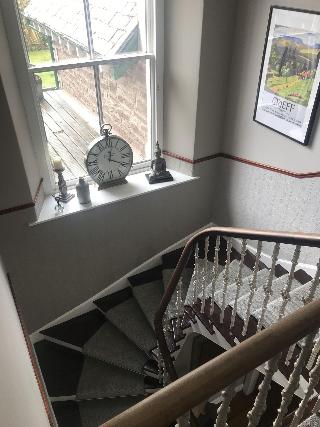 Merlindale fotoÄŸrafÄ±