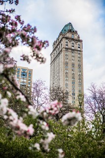 The Pierre, A Taj Hotel fotoÄŸrafÄ±