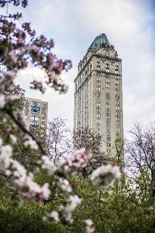 The Pierre, A Taj Hotel fotoÄŸrafÄ±