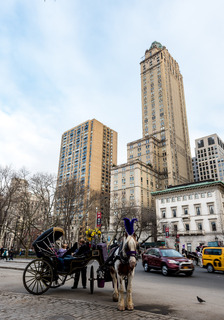 The Pierre, A Taj Hotel fotoÄŸrafÄ±