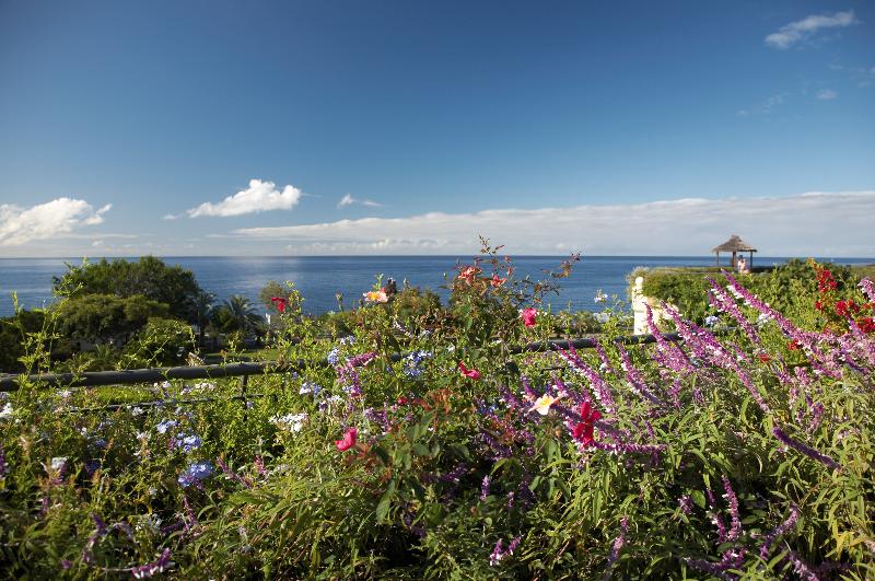 The Residence Porto Mare - Genel