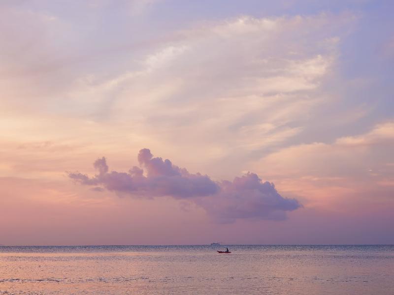 The Sea Koh Samui Resort and Residences by Tolani - Genel