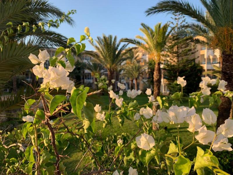 Hasdrubal Thalassa & Spa Yasmine Hammamet - Oda