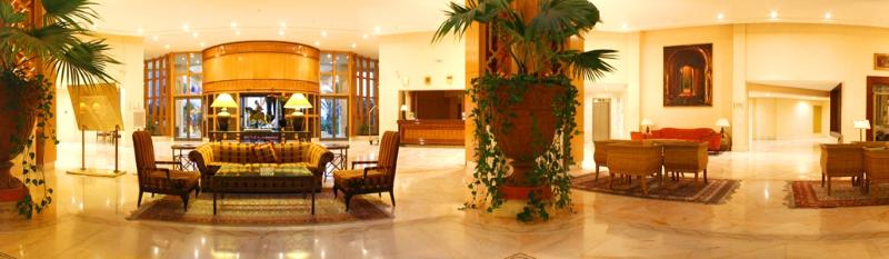 Regency Tunis Hotel - Genel