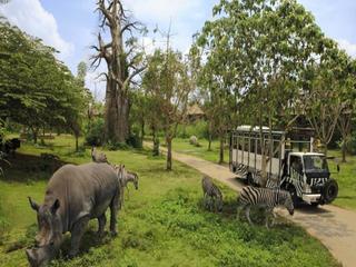 Mara River Safari Lodge fotoÄŸrafÄ±