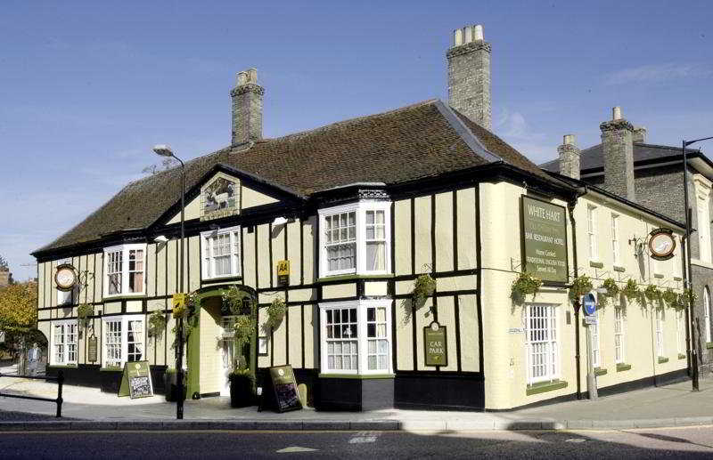 White Hart Hotel otel fotoğrafı
