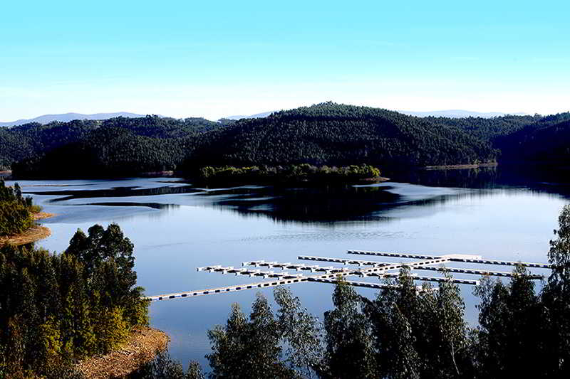Montebelo Aguieira Lake Resort & Spa fotoÄŸrafÄ±