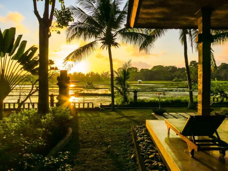 Green Field Hotel and Bungalow - Genel