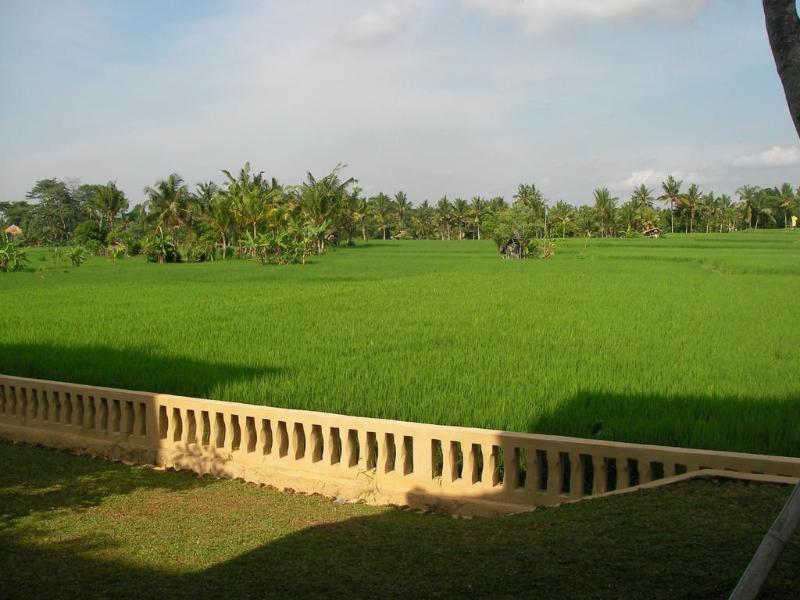 Green Field Hotel and Bungalow - Genel
