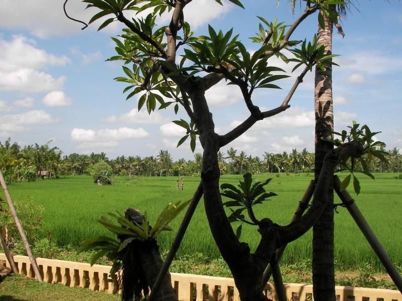 Green Field Hotel and Bungalow - Genel