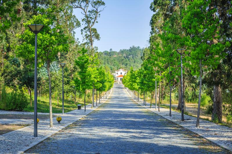 Monte Real Hotel & SPA - Genel