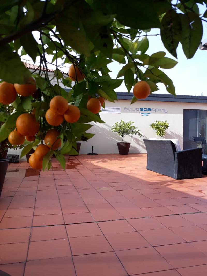 Aqua Hotel Ovar - Teras