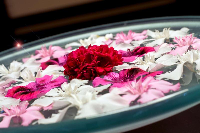 Radisson Blu Resort & Spa, Cesme - Aktivite