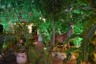 Istankoy Hotel Bodrum fotoÄŸrafÄ±