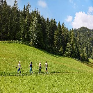 Robinson Fieberbrunn fotoÄŸrafÄ±