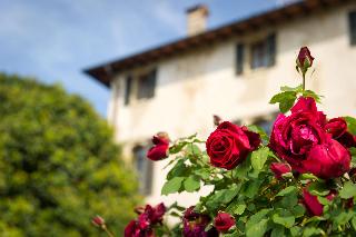 Villa Cipriani fotoÄŸrafÄ±