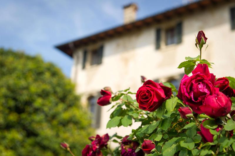 Villa Cipriani - Genel