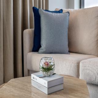 Yas Plaza Bay by IHG fotoÄŸrafÄ±