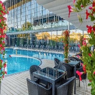 Melia Braga fotoÄŸrafÄ±