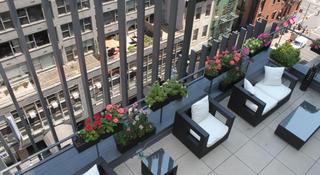 Blue Angel Hotel NYC fotoÄŸrafÄ±