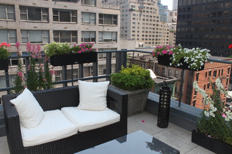 Blue Angel Hotel NYC fotoÄŸrafÄ±