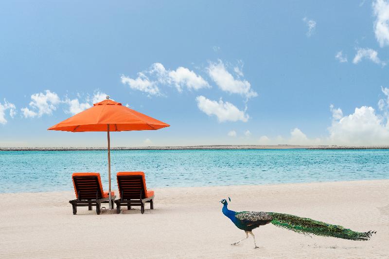 JA The Resort – JA Palm Tree Court, Dubai - Genel