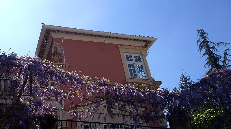 Alegre Hotel Bussaco - Teras