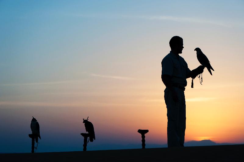 Al Maha, a Luxury Collection Desert Resort & Spa - Aktivite