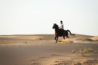 Al Maha, a Luxury Collection Desert Resort & Spa fotoÄŸrafÄ±