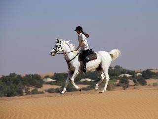 Al Maha, a Luxury Collection Desert Resort & Spa fotoÄŸrafÄ±