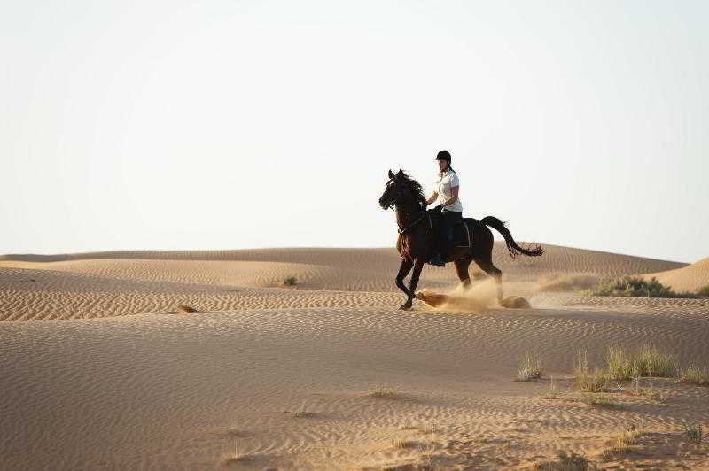 Al Maha, a Luxury Collection Desert Resort & Spa fotoÄŸrafÄ±