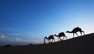 Al Maha, a Luxury Collection Desert Resort & Spa fotoÄŸrafÄ±