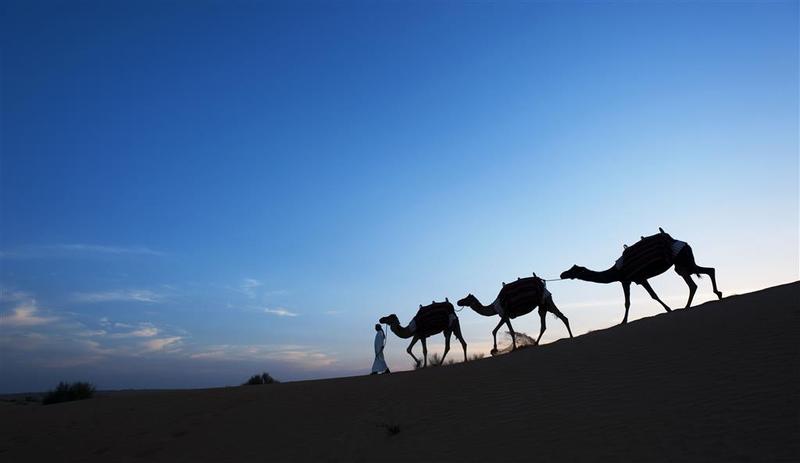 Al Maha, a Luxury Collection Desert Resort & Spa - Genel
