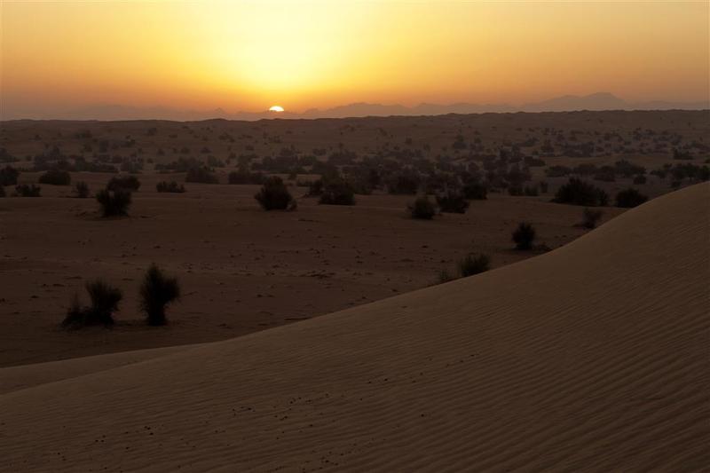 Al Maha, a Luxury Collection Desert Resort & Spa - Genel