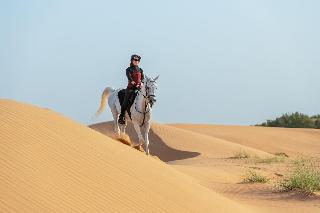 Al Maha, a Luxury Collection Desert Resort & Spa fotoÄŸrafÄ±