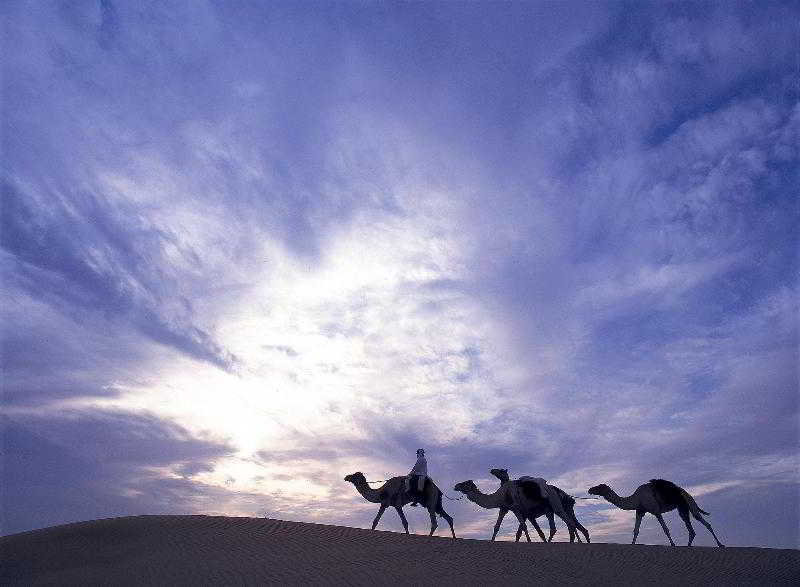Al Maha, a Luxury Collection Desert Resort & Spa fotoÄŸrafÄ±