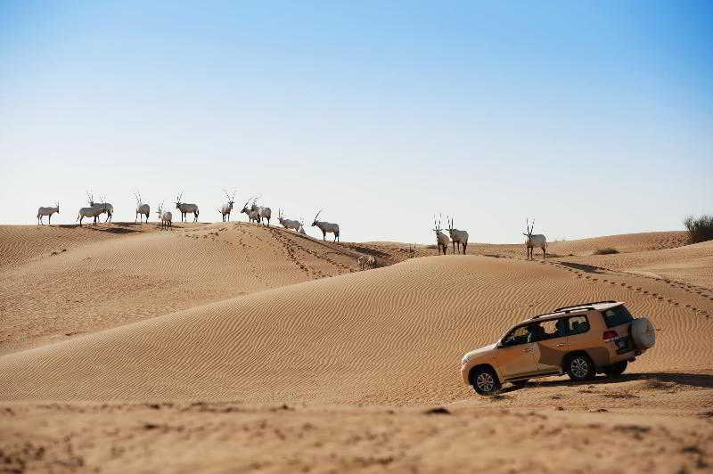 Al Maha, a Luxury Collection Desert Resort & Spa fotoÄŸrafÄ±