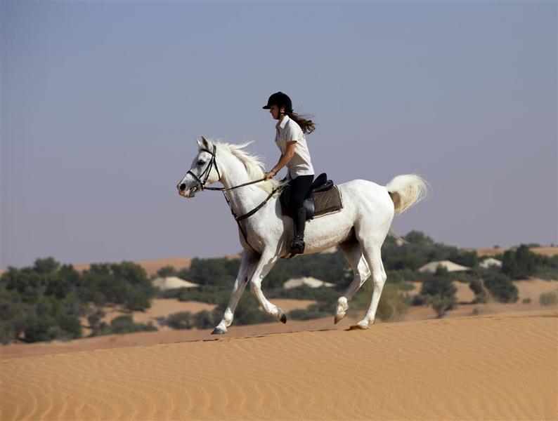 Al Maha, a Luxury Collection Desert Resort & Spa - Genel