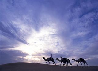 Al Maha, a Luxury Collection Desert Resort & Spa fotoÄŸrafÄ±