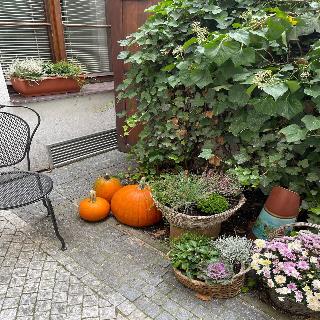 Little Quarter Hostel & Hotel fotoÄŸrafÄ±
