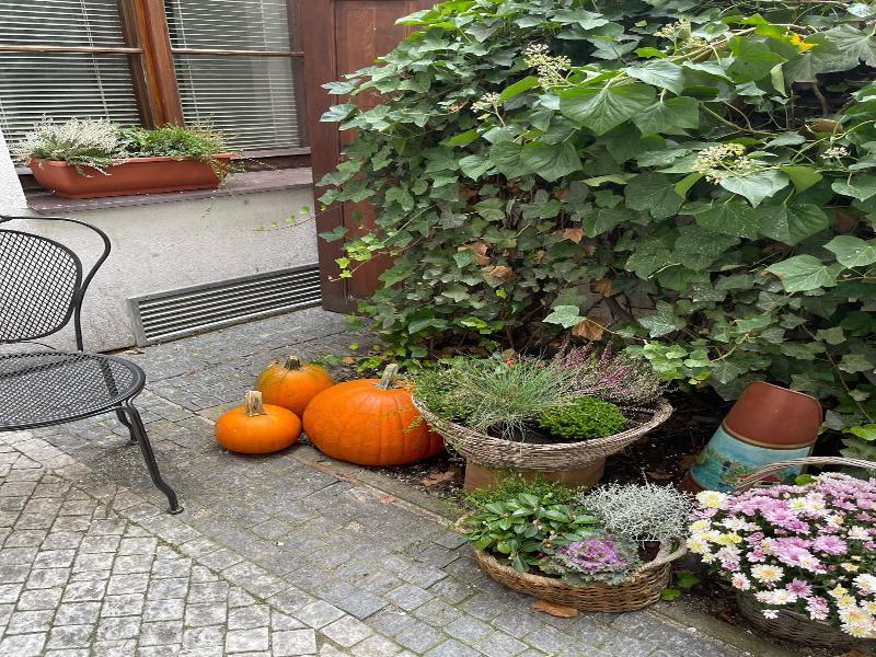 Little Quarter Hostel & Hotel - Genel