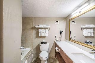 Quality Inn Rochester fotoÄŸrafÄ±