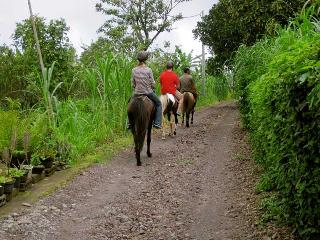 Munduk Moding Plantation Nature Resort and Spa fotoÄŸrafÄ±