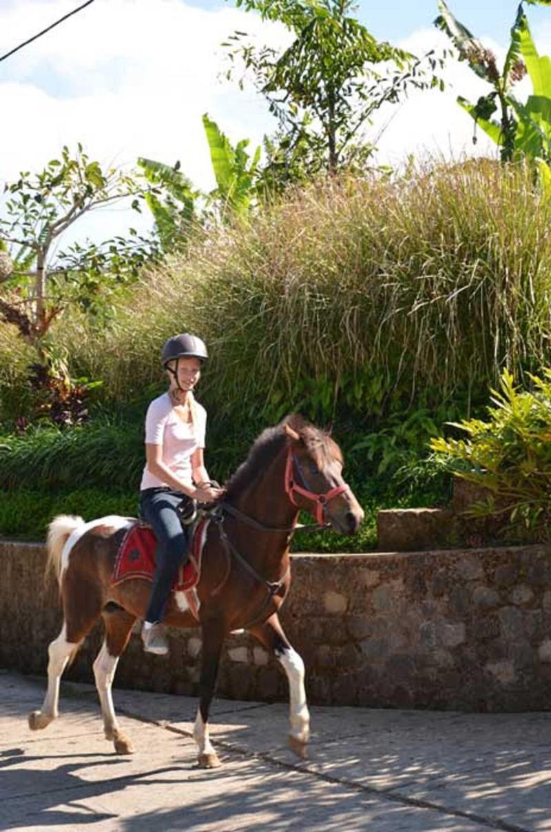 Munduk Moding Plantation Nature Resort and Spa - Aktivite
